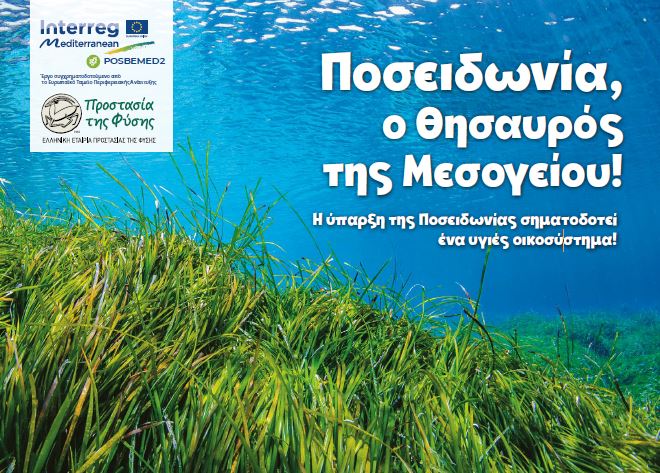 childrens-activity-book posidonia