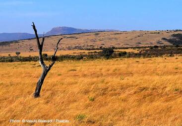 topic-drylands-tw.jpg