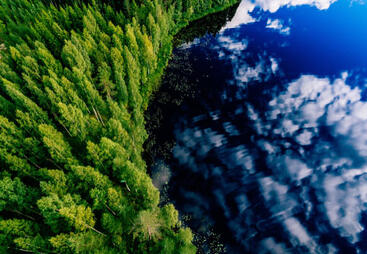 topic-managing-ecosystems-shutterstock_1084374194.jpg
