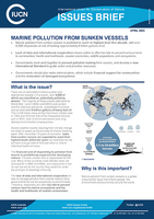 • Marine pollution from sunken vessels is predicted to reach its highest level this decade.