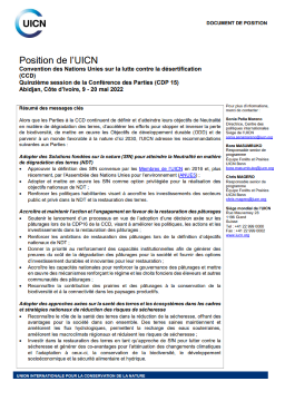 UNCCD COP15 PP fr thumb