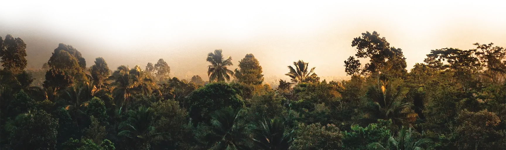 nature-2030-subscribe