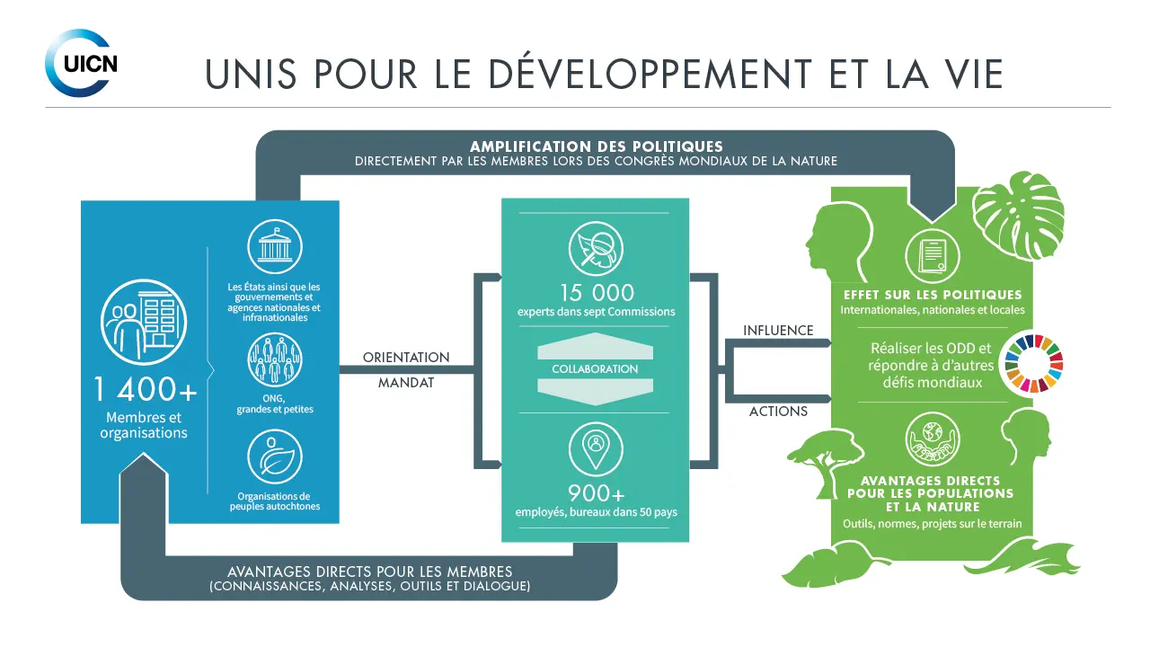 UICN infographie
