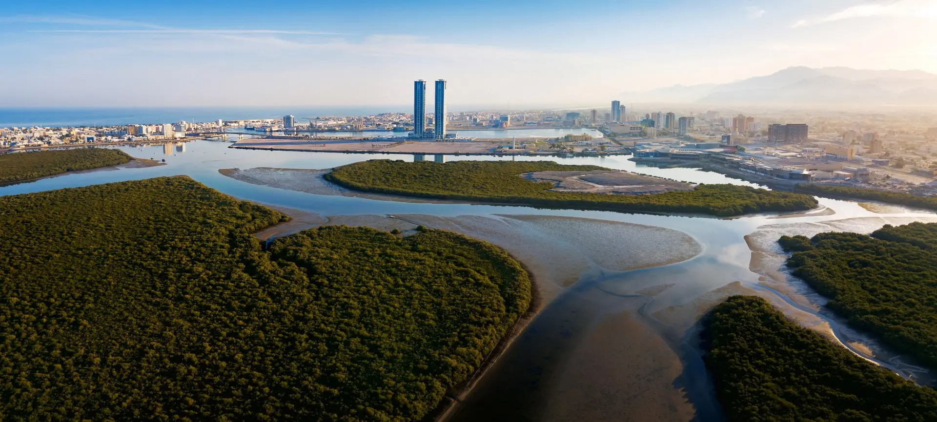 Mangroves in UAE 